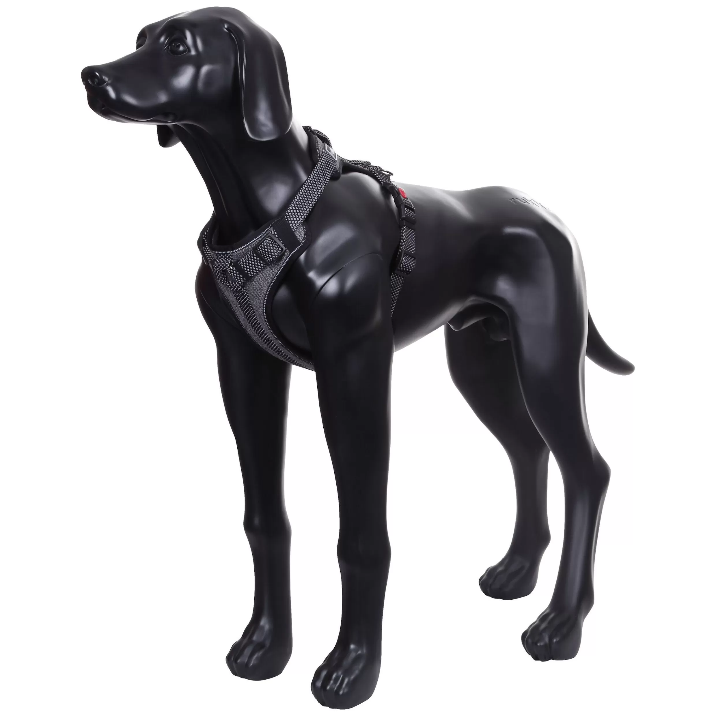 Star Harness>RUKKA PETS Store